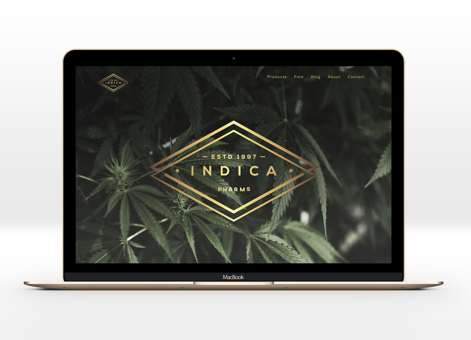 indicaPharms-MacBook-Gold